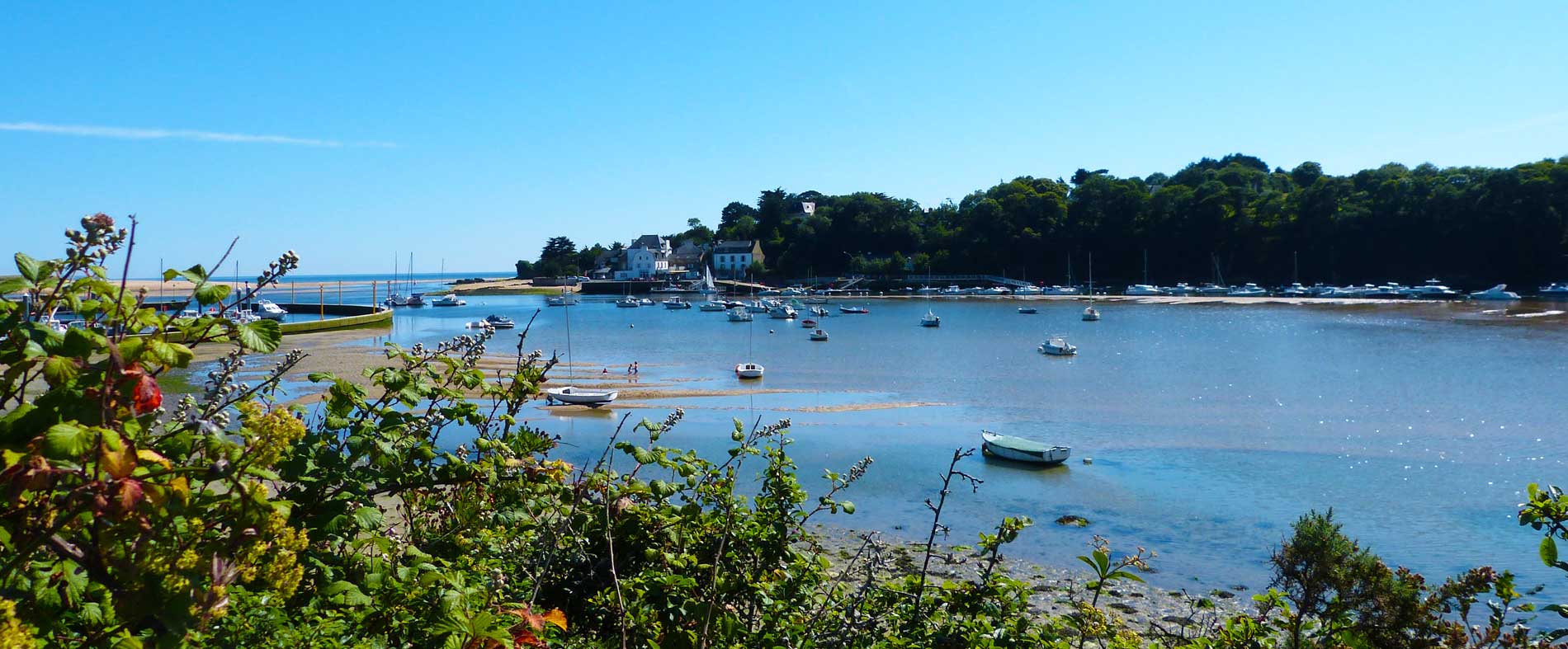 Ar Bradenn Gwidel Gîte et Chambres d'hôtes de 1 à 11 personnes Morbihan Bretagne Sud